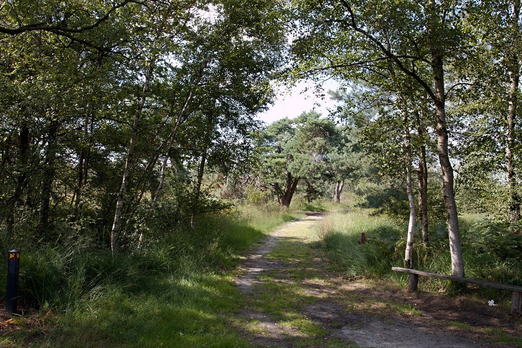 nationaal park de groote peel grote natuurgebied natuur hdr brabant limburg staatsbosbeheer turf veen heide hei bos bossen